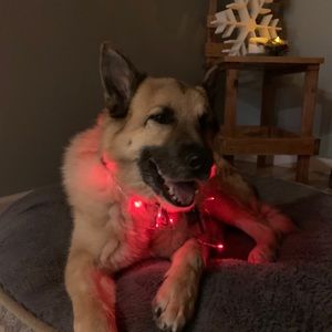 Meet your Posher, Timeri